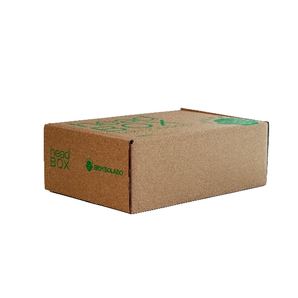 HEAD BOX BEM BOLADO-2~1