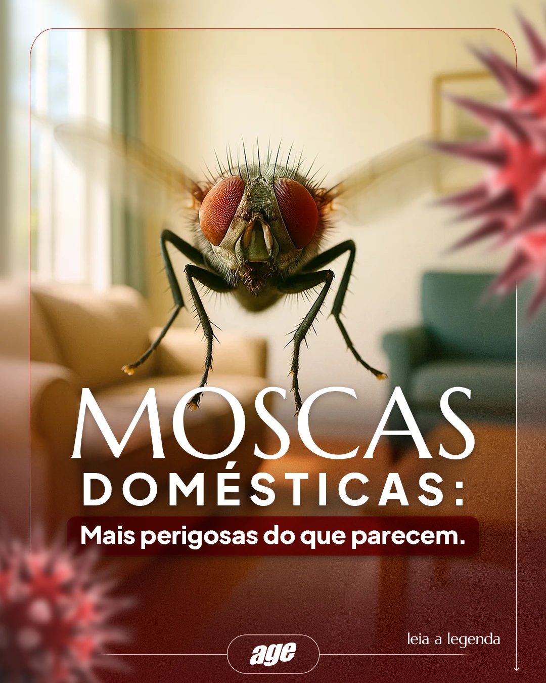 Age_Calendario_MAI25_08